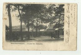 Brasschaat - Brasschaet-Polygone    *  La Pose Des Sentinelles !! - Brasschaat