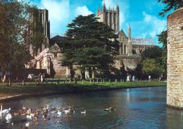 1 AK England * Kathedrale Von Wells - Erbaut Ab Dem 12. Jahrhundert * - Wells