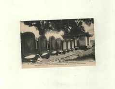 VIET-NAM-  TONKIN -HANOÏ-PAGODE  DE CONFUCIUS-Stèles Commémoratives Des Laureats    N° 89 -non Circulée// - Vietnam