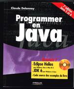 Programmer En Java - Claude Delannoy - 2011 - 876 Pages 23 X 19 Cm - Informatica