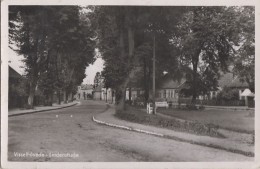 Allemagne - Visselhövede - Lindenstrasse - Verlag Clara König - Rotenburg (Wuemme)