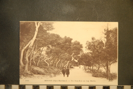 CP, 06,  MENTON, Un Sous-bois Au CAP MARTIN, Ecrite 1919 - Menton