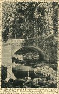 Schierke - Bodebrücke 1939 (001189) - Schierke