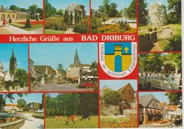 (DE1170) BAD DRIBURG - Bad Driburg