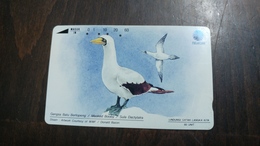 Indonesia-(s125)gangsa Batu Bertopeng-(masked Booby Sula Dacrylara(60units)-used Card - Indonesia