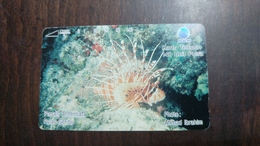 Indonesia-(s195)-spotfin Lion Fish-(pterais Antennata-thousand Islands)-(140units)-used Card - Indonésie