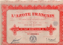 DIXIEME DE PART BENEFICIAIRE  - L'AZOTE FRANCAIS - 1929 - Altri & Non Classificati