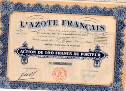 ACTION DE 100  FRANCS   - L'AZOTE FRANCAIS - 1926 - Autres & Non Classés