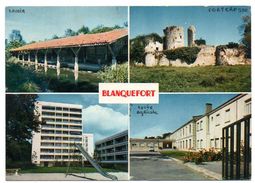 33 - Gironde / BLANQUEFORT : Divers Aspects. - Blanquefort