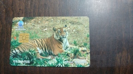 Indonesia-(ss-66)-sumatran Tigers-(2)-(rp.18.700)-used Card - Indonésie