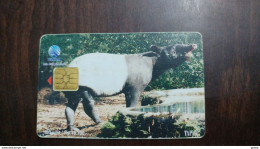 Indonesia-(ss-68)-tapir-(rp.18.700)-used Card - Indonésie