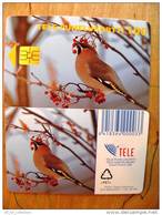 Bird 11,96 60,000 Chip Phone Card From Finland, - Songbirds & Tree Dwellers