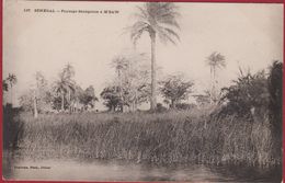 SENEGAL Paysage Senegalais A M'Baw Edit. Fortier Photo - Afrika Afrique Occidentale West Africa - Senegal