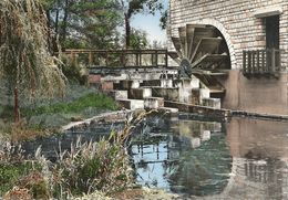 Delcampe - CPSM Chablis La Roue Du Moulin - Chablis