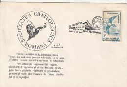 BIRDS, POMARINE SKUA, KINGFISHER, SPECIAL COVER, 1993, ROMANIA - Albatros