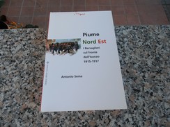 Piume Nord Est - I Bersaglieri 1915 - 1917 - Histoire