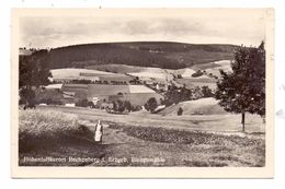 0-9213 RECHENBERG - BIENENMÜHLE, Panorama Bienenmühle, 1953 - Rechenberg-Bienenmühle