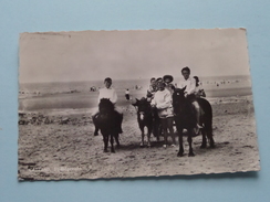 Strandgezicht ( N° 114) Anno 19?? ( Zie Foto Details / Gekreukt ) !! - Cadzand