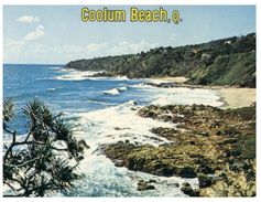 (779) Australia - QLD - Coolum Beach - Sunshine Coast