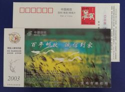 Crane Bird Flying Over Reed Meadow,China 2003 Baoji Post Office Advertising Pre-stamped Card - Grues Et Gruiformes