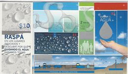 ARGENTINA 2010, Booklet 71, Protection Environment Water - Booklets