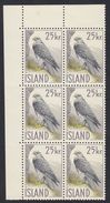 ISLAND Islanda Islande - 1960 - Gruppo Sei Yvert 298 Nuovi MNH Uniti Fra Loro Con Margine E Angolo Di Foglio - Neufs