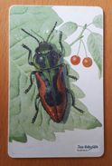 Czech Republic Phonecard With Chip Bugs Insects Cherry - Marienkäfer