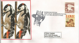 Great Spotted Woodpecker.Audubon Kern River Preserve (California), Special Letter - Pics & Grimpeurs