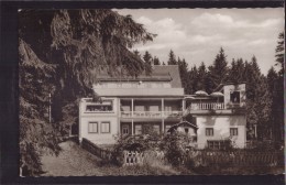 Braunlage - S/w Gaststätte Und Café Rodelhaus - Braunlage