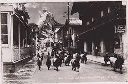 SUISSE,SWITZERLAND,SWISS,HELVETIA,SCHWEIZ ,VALAIS,ZERMATT,BERGER,TROUPEAU DE CHEVRES - Zermatt