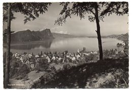 Suisse--VITZNAU--1950--Blick Gegen Bûrgenstock  Cpsm 14 X 9  N°344  Foto Burgi...timbre --cachet........à Saisir - Vitznau