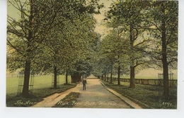 ROYAUME UNI - ENGLAND - WINDSOR - The Avenue, Long Walk , Great Park - Windsor