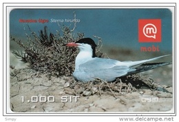 SLOVENIA  Mobil Prepaid Card Bird, Common Tern Navadna Cigra Valid 31.12.2005 - Zangvogels