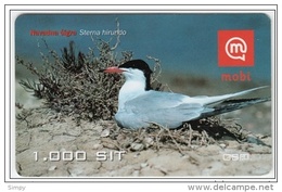 SLOVENIA  Mobil Prepaid Card Bird, Common Tern Navadna Cigra Valid 31.12.2006 - Zangvogels