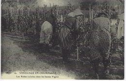 VENDANGE En CHAMPAGNE - Les Robes Culottes Dans Les Hautes Vignes ( Cartes D'Autrefois ) - Champagne - Ardenne