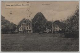 Gruss Aus Affoltern Im Emmental - Hotel Löwen - Photo: Th. Steiner-Schär - Affoltern Im Emmental 