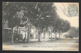 LAPALUD Le Cours Des Platanes Quartier Bas (Nadal) Vaucluse (84) - Lapalud