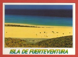CP08 EUROPE ESPAGNE FUERTEVENTURAS 112 - Fuerteventura