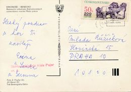 M0114 - Czechoslovakia (1982) Benecko (postcard: Krkonose Mountains); Stamp: ZOO Prague 1931-1981 (gorillas) - Gorillas