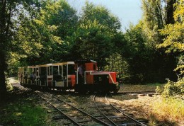 CCFSV 1 - Train - Locotracteur à La Bifurcation - SEMUR EN VALLON - Sarthe 72 - Other Municipalities