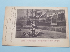 Pollice Verso - ANFITEATRO Flavio Detto Colosseo ( 19 R. Rimoaldi ) Anno 1901 ( Zie Foto Details ) !! - Stades & Structures Sportives