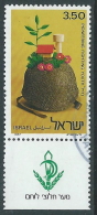 1977 ISRAELE USATO NAHAL GIOVANI PIONIERI CON APPENDICE - T12-2 - Oblitérés (avec Tabs)