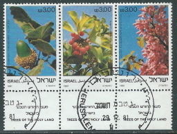 1981 ISRAELE USATO ALBERI DELLA TERRA SANTA CON APPENDICE - T12-9 - Used Stamps (with Tabs)