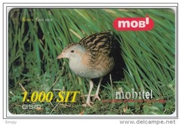 SLOVENIA  Bird Corncrake Kosec Crex Crex Mobil Prepaid Card Valid 31.12.2001 - Sperlingsvögel & Singvögel