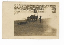 CORRIDA - IL TORO VIENE PORTATO FUORI DALL'ARENA - CART. FOTOGRAFICA NV FP - Corrida