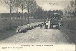 CPA Wyneghem   La Chaussée De Wommelghem - Wijnegem