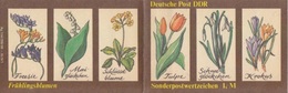 Carnet Complet "Sonderpost..." 1 M, Timbre N° 2901 X 10   Abeille Butinant Sur Des Fleurs De Printemps (tulipe, Crocus, - Postzegelboekjes