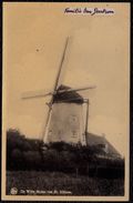 SINT NIKLAAS - DE WITTE MOLEN - MOULIN - Niet Courant - Sint-Niklaas