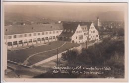 AK - LANGENLOIS - Landeskursstätte Für Wein,- Obst- U. Gartenbau  1955 - Langenlois