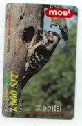 SLOVENIA Bird Lesser Spotted Woodpecker PAKET Mobidetel Prepaid Phoncard  31/12/2000 - Sperlingsvögel & Singvögel